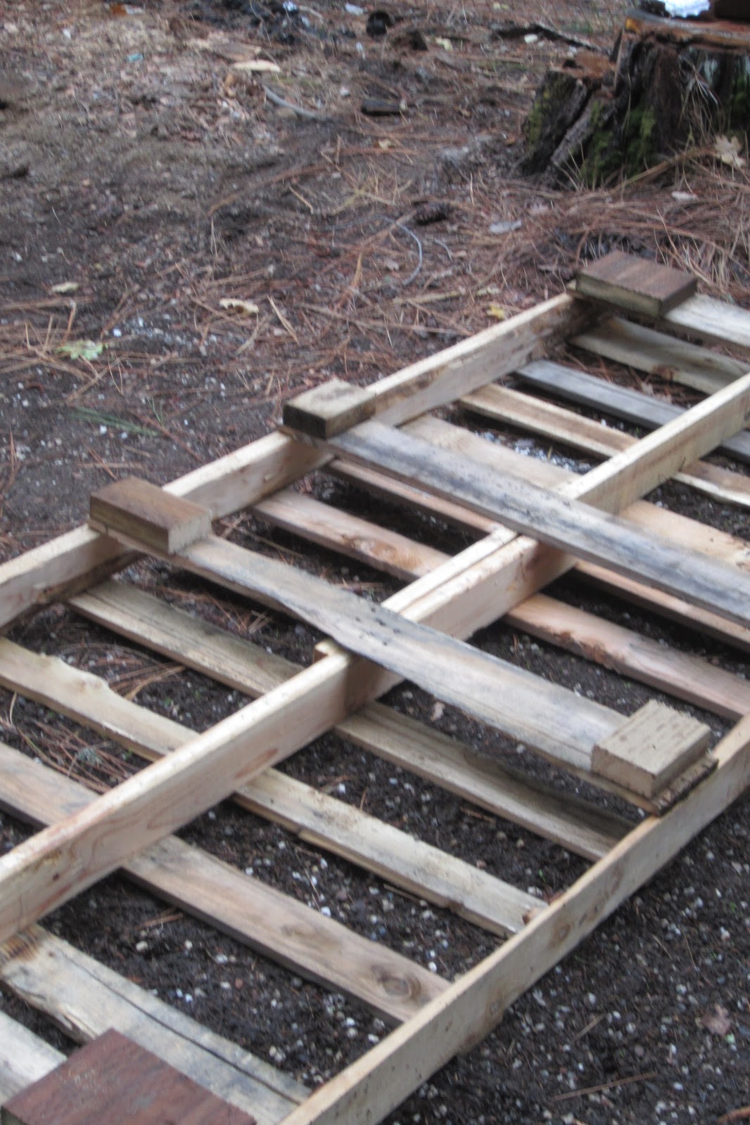 My Garden Pallet Shed: Constructing the Pallet Shed, Day 1